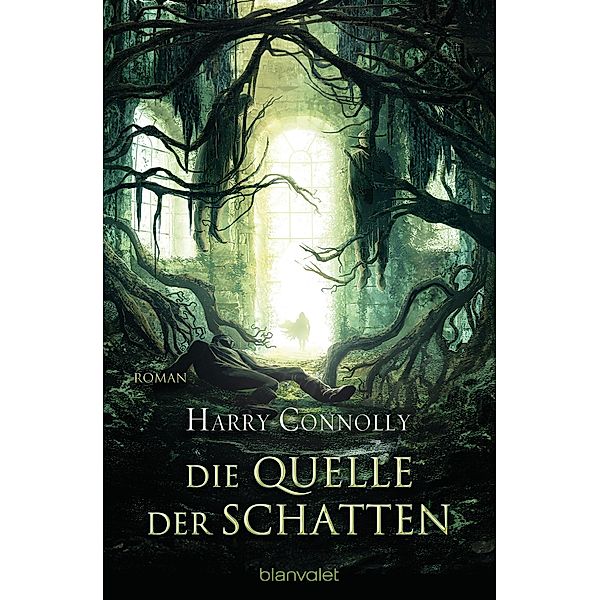 Die Quelle der Schatten / Der strahlende Weg Bd.3, Harry Connolly