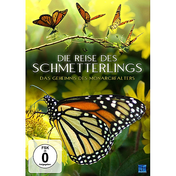 Die Reise des Schmetterlings, N, A