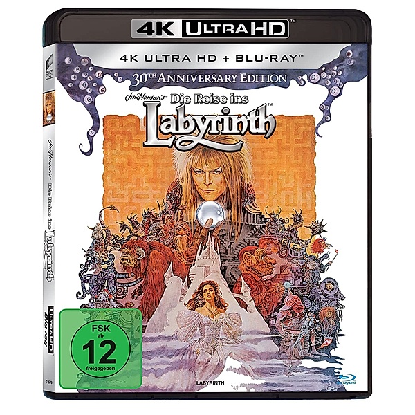 Die Reise ins Labyrinth (4K Ultra HD)