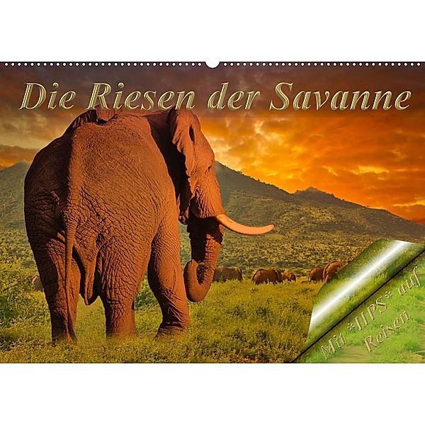 Die Riesen der Savanne (Wandkalender 2023 DIN A2 quer), Heinz-Peter Schwerin