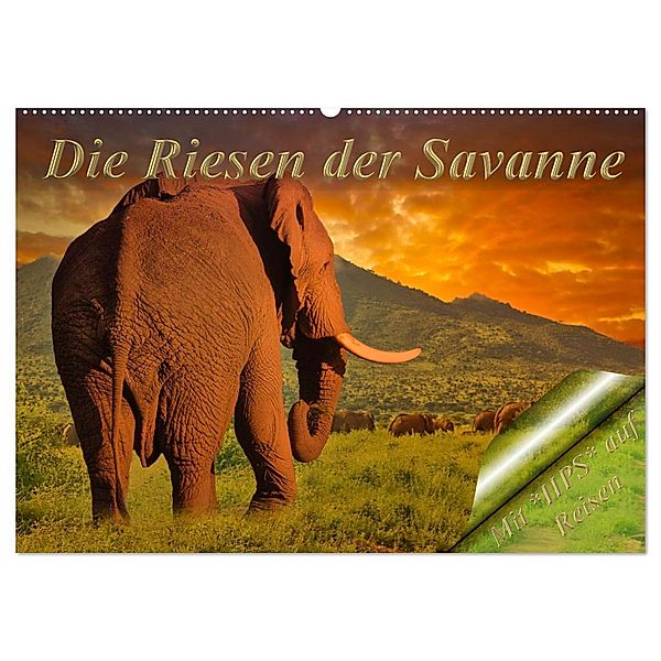 Die Riesen der Savanne (Wandkalender 2024 DIN A2 quer), CALVENDO Monatskalender, Heinz-Peter Schwerin