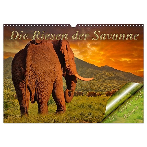 Die Riesen der Savanne (Wandkalender 2025 DIN A3 quer), CALVENDO Monatskalender, Calvendo, Heinz-Peter Schwerin