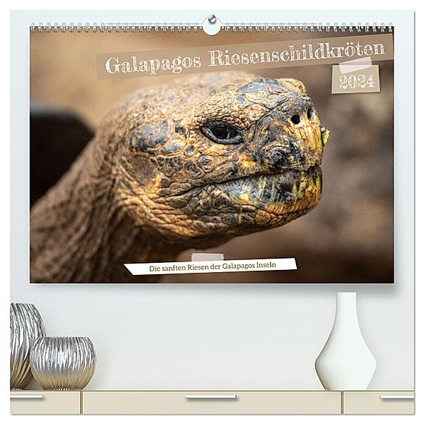 Die Riesenschildkröten der Galapagos Inseln (hochwertiger Premium Wandkalender 2024 DIN A2 quer), Kunstdruck in Hochglanz, In X Tagen um die Welt