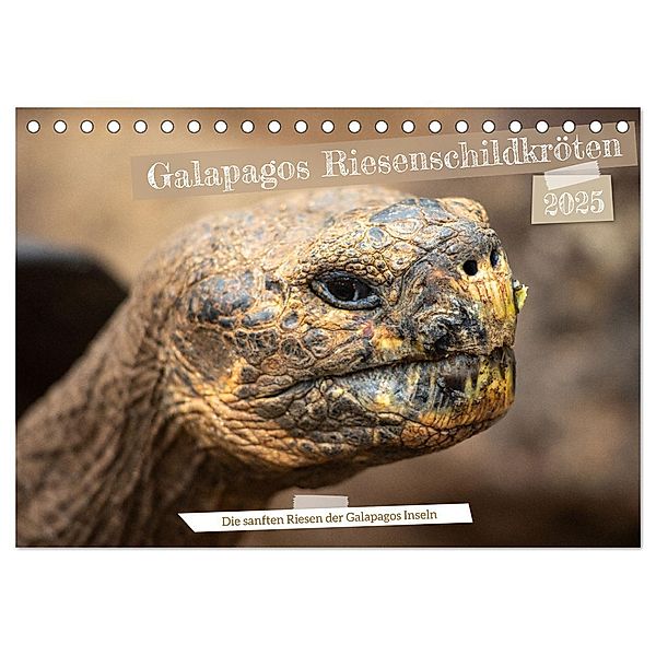 Die Riesenschildkröten der Galapagos Inseln (Tischkalender 2025 DIN A5 quer), CALVENDO Monatskalender, Calvendo, In X Tagen um die Welt