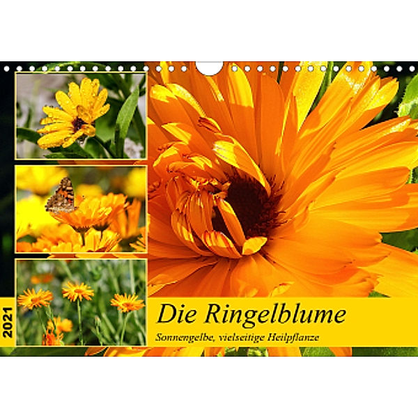 Die Ringelblume. Sonnengelbe, vielseitige Heilpflanze (Wandkalender 2021 DIN A4 quer), Rose Hurley
