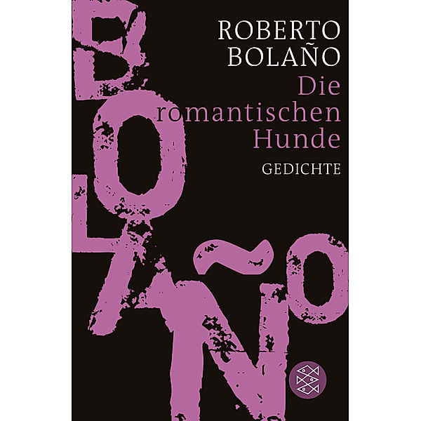 Die romantischen Hunde, Roberto Bolaño