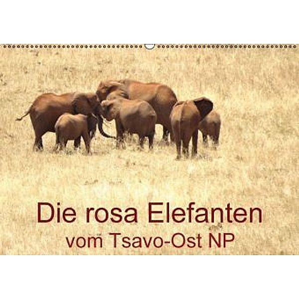 Die rosa Elefanten vom Tsavo-Ost NP (Wandkalender 2015 DIN A2 quer), Brigitte Dürr