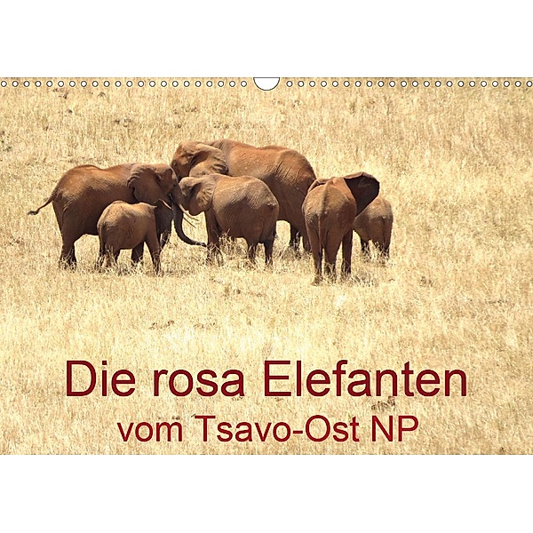 Die rosa Elefanten vom Tsavo-Ost NP (Wandkalender 2021 DIN A3 quer), Brigitte Dürr