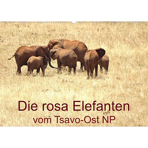 Die rosa Elefanten vom Tsavo-Ost NP (Wandkalender 2023 DIN A2 quer), Brigitte Dürr