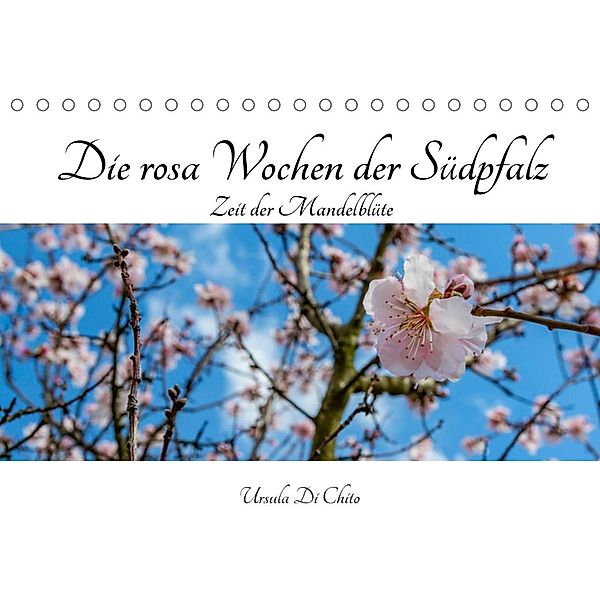 Die rosa Wochen der Südpfalz (Tischkalender 2023 DIN A5 quer), Ursula Di Chito