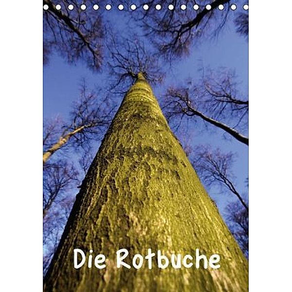 Die Rotbuche (Tischkalender 2015 DIN A5 hoch), Martina Berg