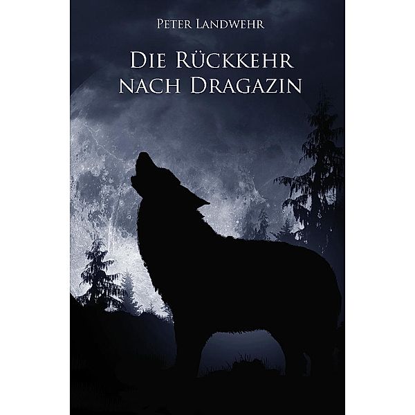 Die Rückkehr nach Dragazin, Peter Landwehr