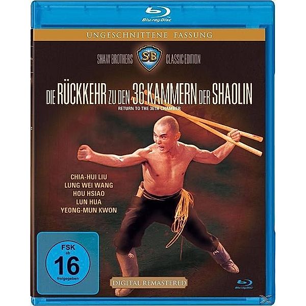 Die Rückkehr zu den 36 Kammern der Shaolin