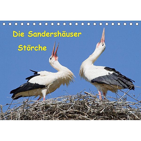 Die Sandershäuser Störche (Tischkalender 2021 DIN A5 quer), Wilfried Martin