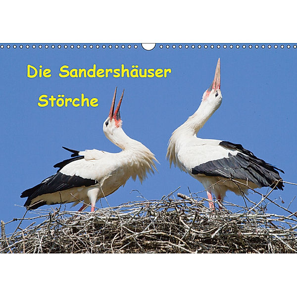 Die Sandershäuser Störche (Wandkalender 2019 DIN A3 quer), Wilfried Martin