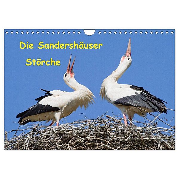 Die Sandershäuser Störche (Wandkalender 2024 DIN A4 quer), CALVENDO Monatskalender, Wilfried Martin