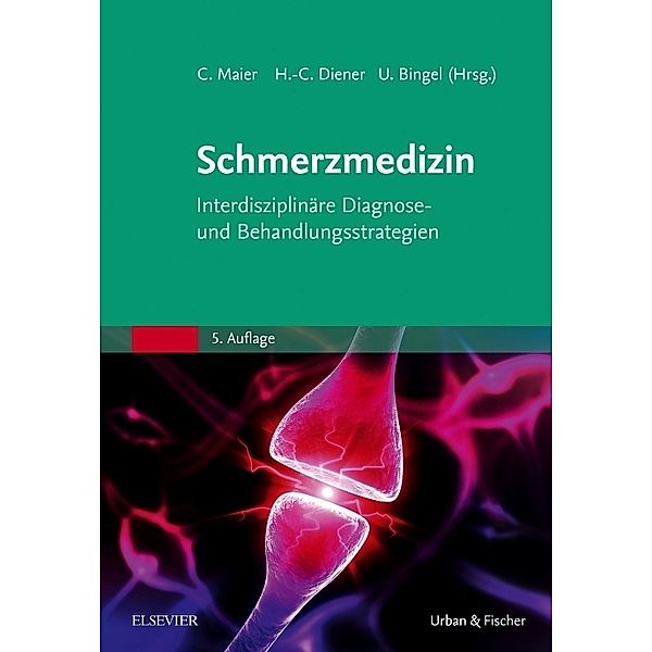 Die Schmerzmedizin