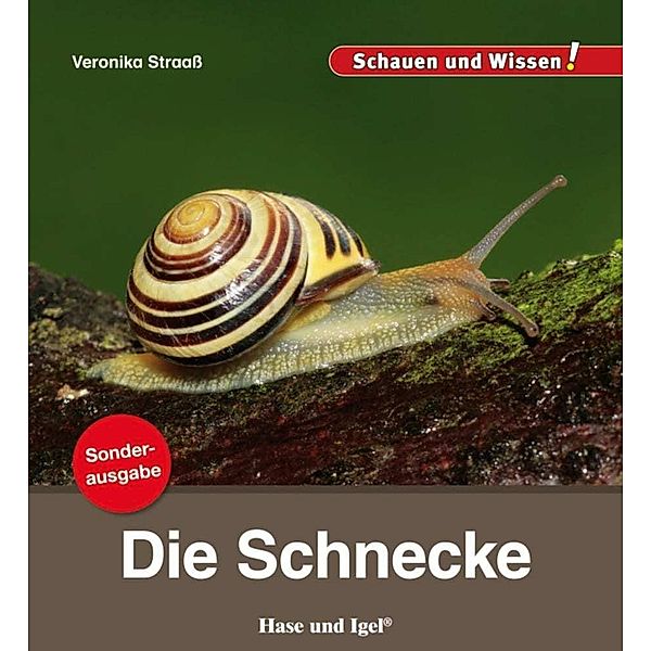 Die Schnecke, Veronika Straaß