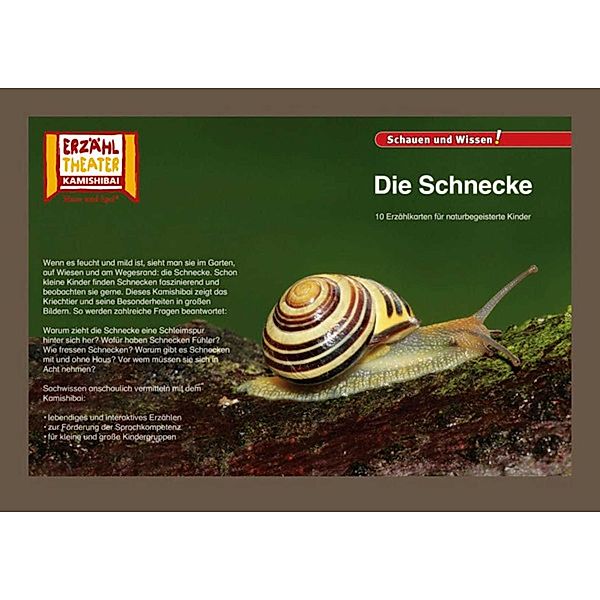 Die Schnecke / Kamishibai Bildkarten