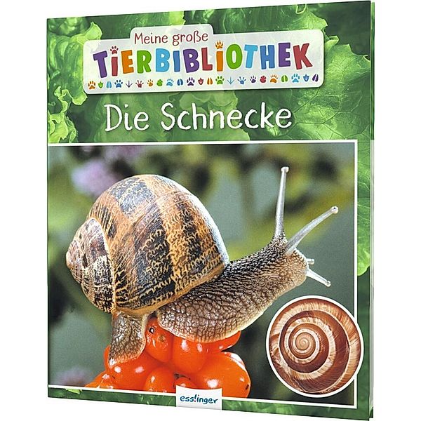 Die Schnecke / Meine grosse Tierbibliothek Bd.17, Paul Starosta