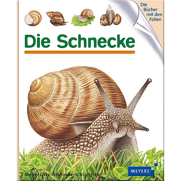 Die Schnecke / Meyers Kinderbibliothek Bd.92
