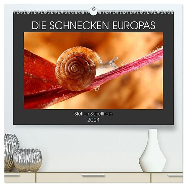 DIE SCHNECKEN EUROPAS (hochwertiger Premium Wandkalender 2024 DIN A2 quer), Kunstdruck in Hochglanz, Steffen Schellhorn