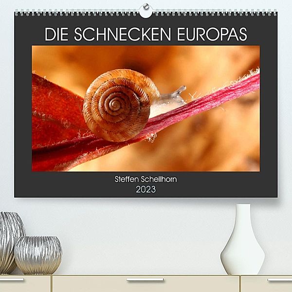 DIE SCHNECKEN EUROPAS (Premium, hochwertiger DIN A2 Wandkalender 2023, Kunstdruck in Hochglanz), Steffen Schellhorn