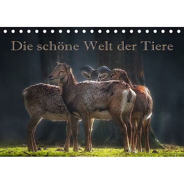 Die schöne Welt der Tiere (Tischkalender 2018 DIN A5 quer) Dieser erfolgreiche Kalender wurde dieses Jahr mit gleichen B, Eleonore Swierczyna