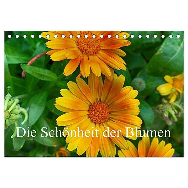 Die Schönheit der Blumen (Tischkalender 2024 DIN A5 quer), CALVENDO Monatskalender, Andreas Morlok