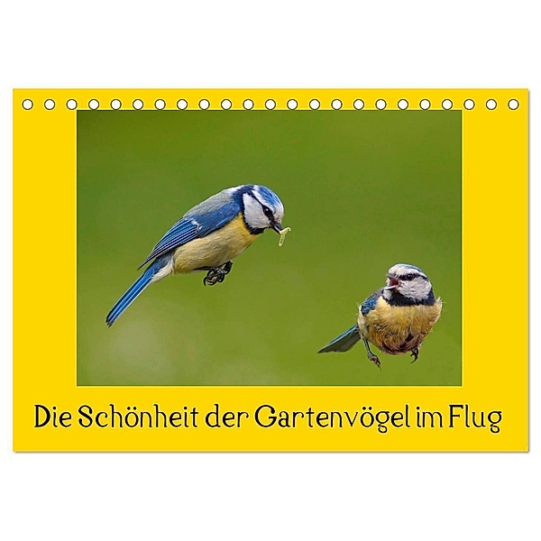 Die Schönheit der Gartenvögel im Flug (Tischkalender 2024 DIN A5 quer), CALVENDO Monatskalender, Lutz Klapp