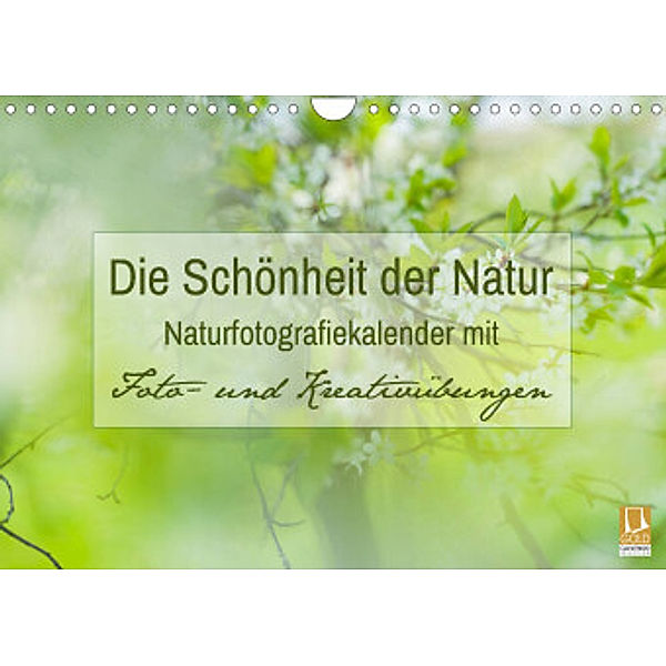 Die Schönheit der Natur -  Naturfotografie-Kalender mit Foto- und Kreativübungen (Wandkalender 2022 DIN A4 quer), Jana Mänz