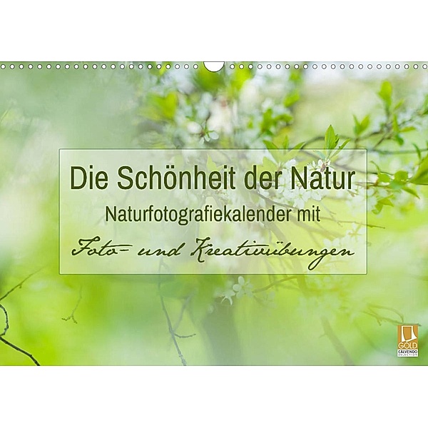 Die Schönheit der Natur -  Naturfotografie-Kalender mit Foto- und Kreativübungen (Wandkalender 2023 DIN A3 quer), Jana Mänz
