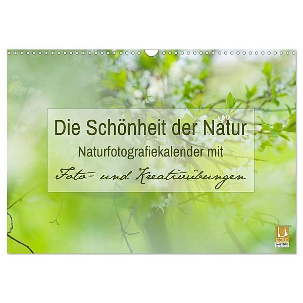 Die Schönheit der Natur - Naturfotografie-Kalender mit Foto- und Kreativübungen (Wandkalender 2024 DIN A3 quer), CALVENDO Monatskalender, Jana Mänz