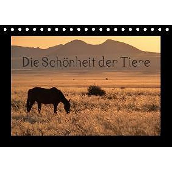 Die Schönheit der Tiere (Tischkalender 2016 DIN A5 quer), Sabine Olschner