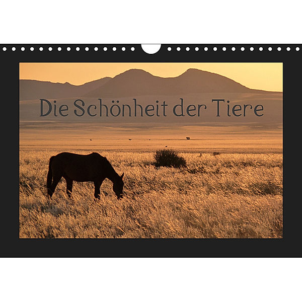 Die Schönheit der Tiere (Wandkalender 2019 DIN A4 quer), Sabine Olschner