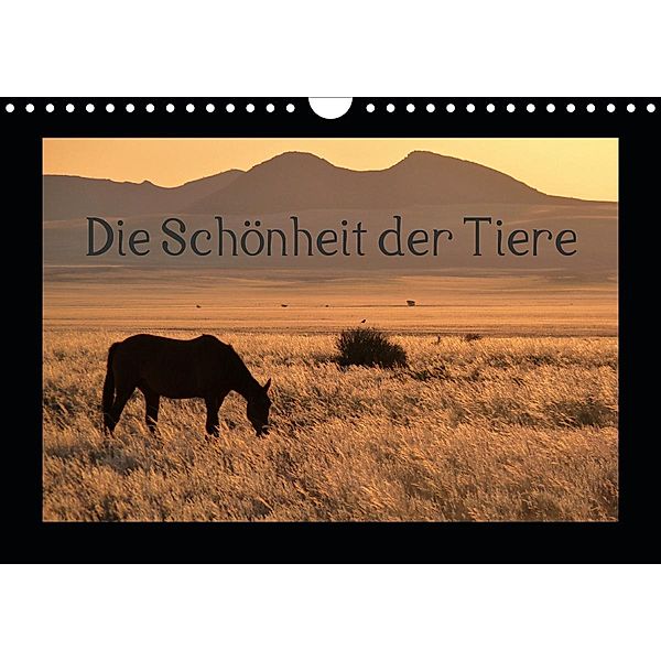 Die Schönheit der Tiere (Wandkalender 2020 DIN A4 quer), Sabine Olschner