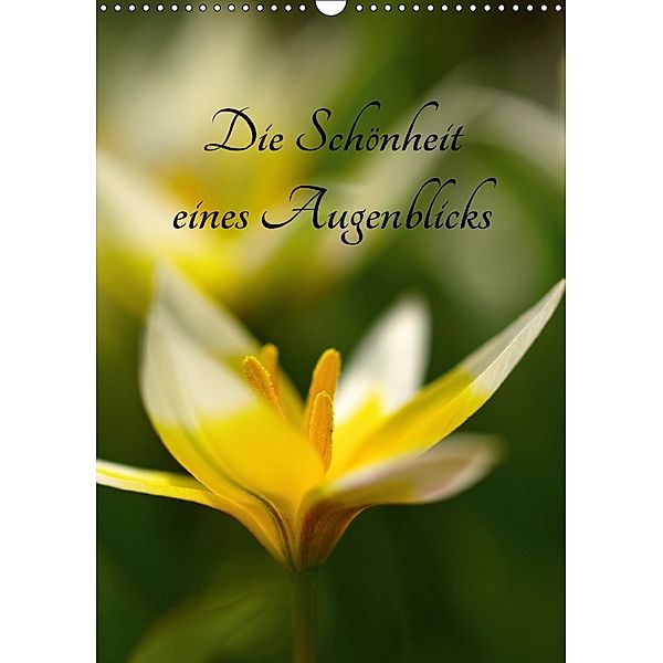 Die Schönheit eines Augenblicks (Wandkalender 2018 DIN A3 hoch), Brigitte Deus-Neumann