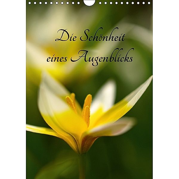 Die Schönheit eines Augenblicks (Wandkalender 2018 DIN A4 hoch), Brigitte Deus-Neumann