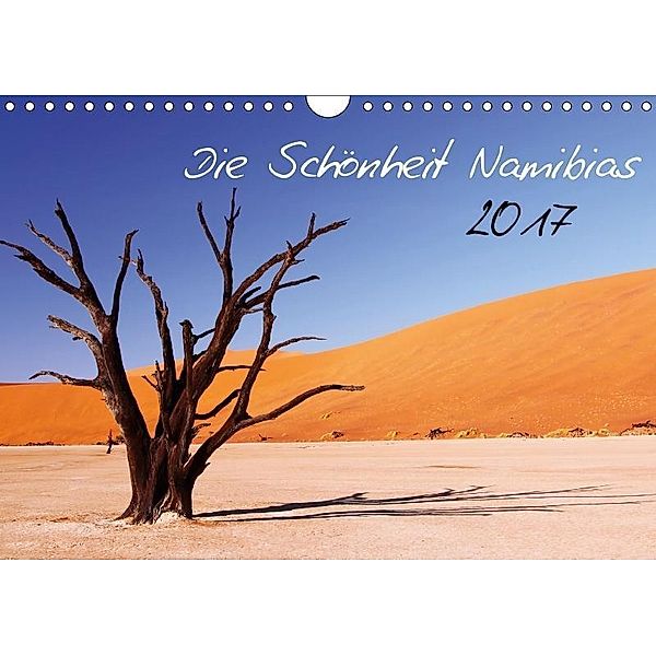 Die Schönheit Namibias 2017 (Wandkalender 2017 DIN A4 quer), Wibke Woyke