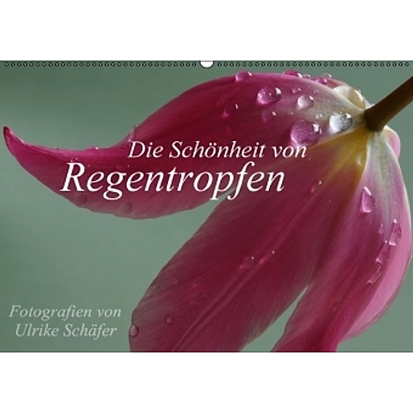 Die Schönheit von Regentropfen (Wandkalender 2016 DIN A2 quer), Ulrike Schäfer