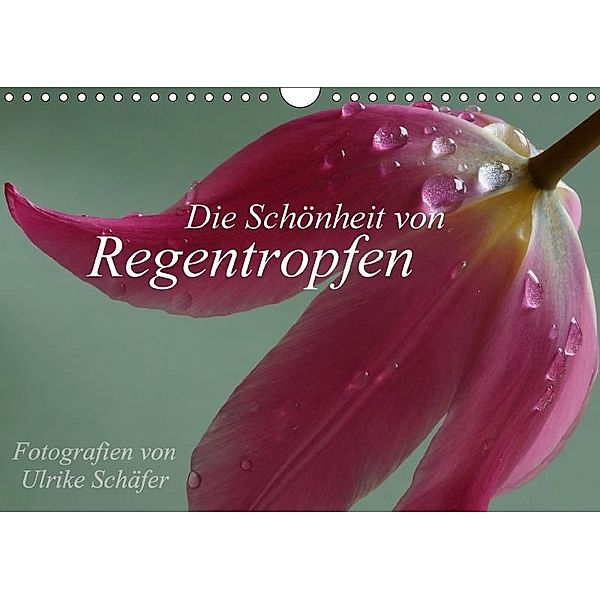 Die Schönheit von Regentropfen (Wandkalender 2017 DIN A4 quer), Ulrike Schäfer