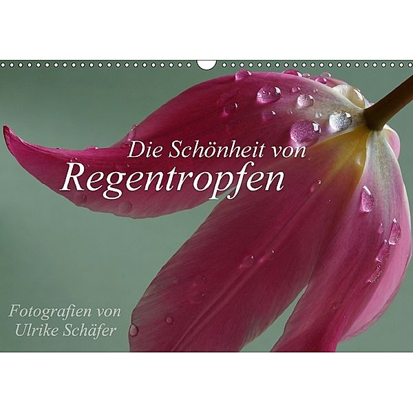 Die Schönheit von Regentropfen (Wandkalender 2018 DIN A3 quer), Ulrike Schäfer