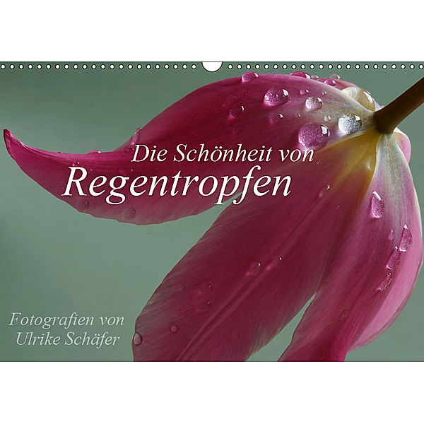 Die Schönheit von Regentropfen (Wandkalender 2019 DIN A3 quer), Ulrike Schäfer