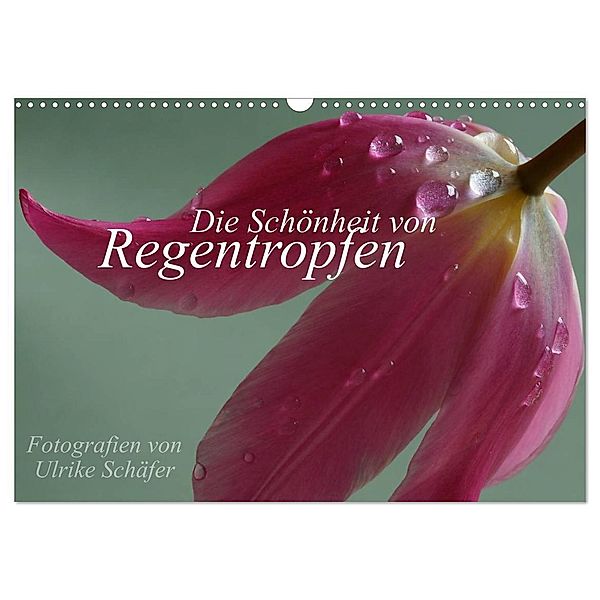 Die Schönheit von Regentropfen (Wandkalender 2024 DIN A3 quer), CALVENDO Monatskalender, Ulrike Schäfer