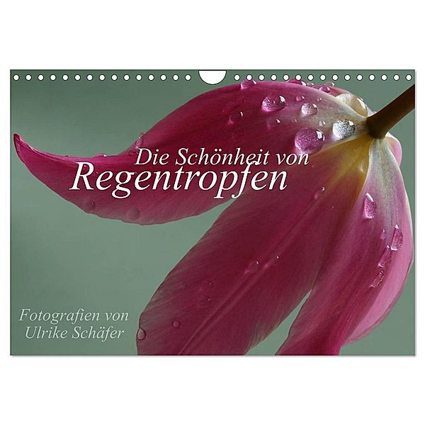 Die Schönheit von Regentropfen (Wandkalender 2024 DIN A4 quer), CALVENDO Monatskalender, Ulrike Schäfer