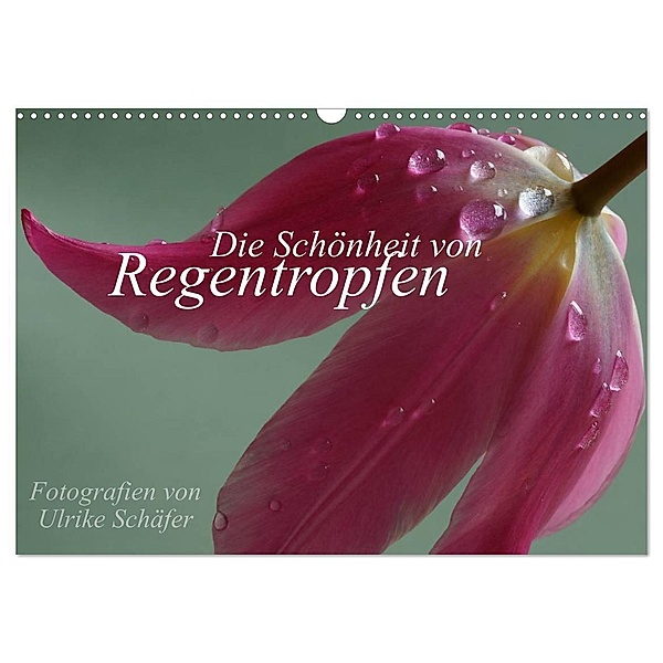 Die Schönheit von Regentropfen (Wandkalender 2025 DIN A3 quer), CALVENDO Monatskalender, Calvendo, Ulrike Schäfer