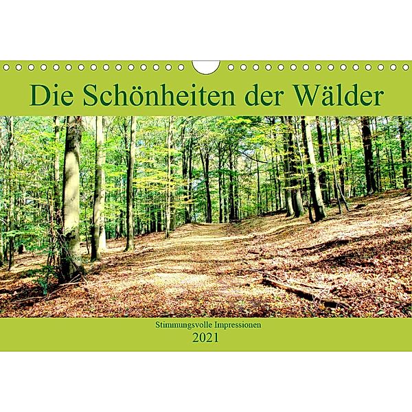 Die Schönheiten der Wälder - Stimmungsvolle Impressionen (Wandkalender 2021 DIN A4 quer), Arno Klatt