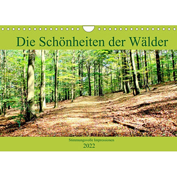Die Schönheiten der Wälder - Stimmungsvolle Impressionen (Wandkalender 2022 DIN A4 quer), Arno Klatt