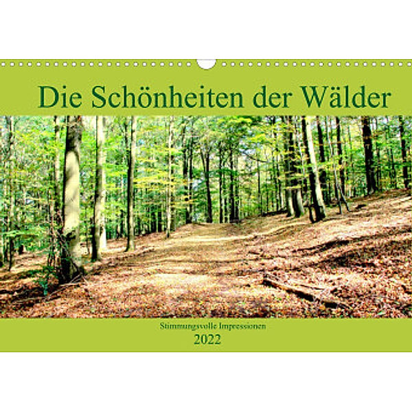Die Schönheiten der Wälder - Stimmungsvolle Impressionen (Wandkalender 2022 DIN A3 quer), Arno Klatt