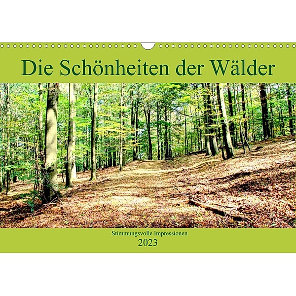 Die Schönheiten der Wälder - Stimmungsvolle Impressionen (Wandkalender 2023 DIN A3 quer), Arno Klatt
